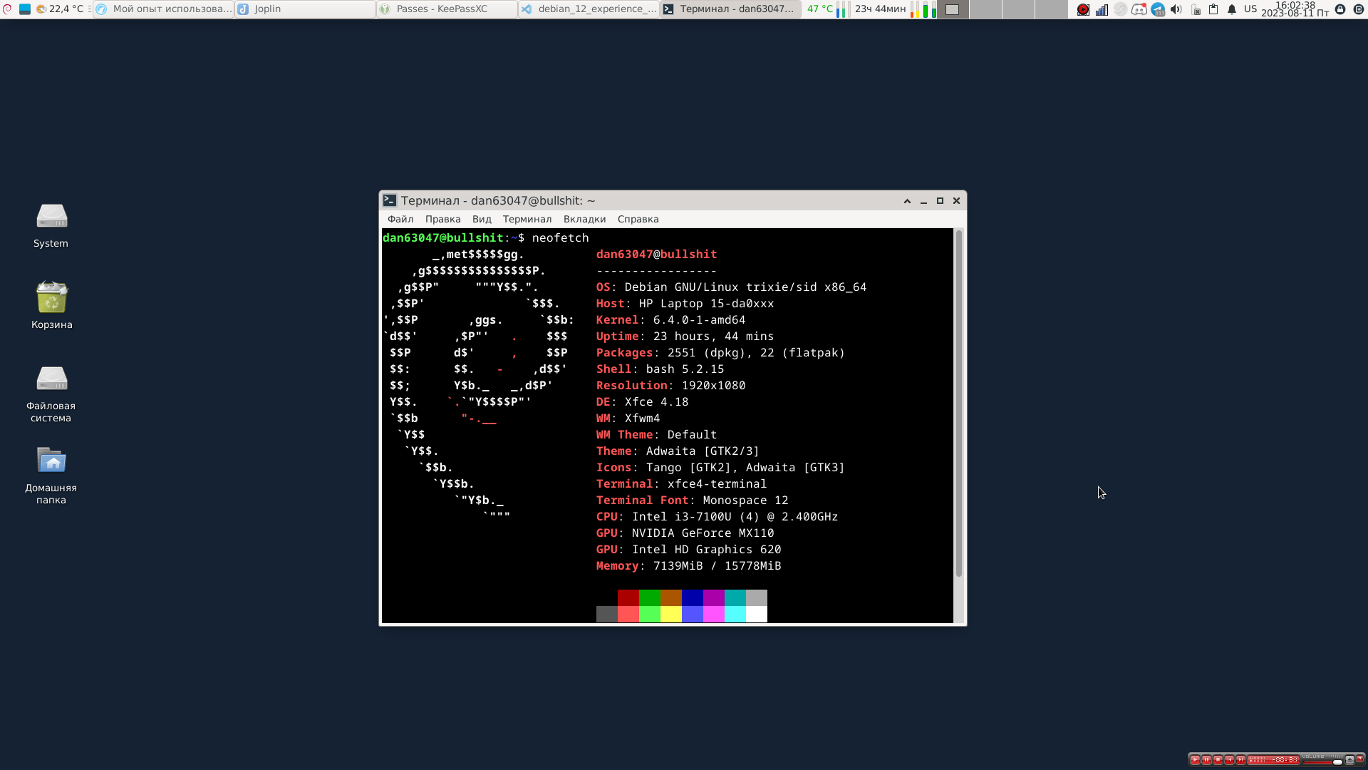 Screenshot of the desktop environment